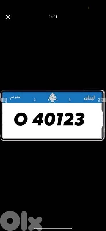 spcial plate number 1