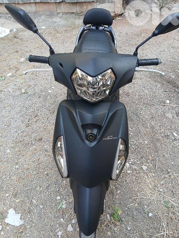 Sweet Azzo 2025 For Sale 0