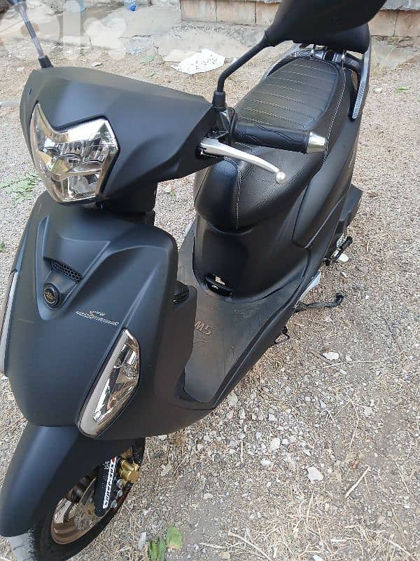 Sweet Azzo 2025 For Sale 2