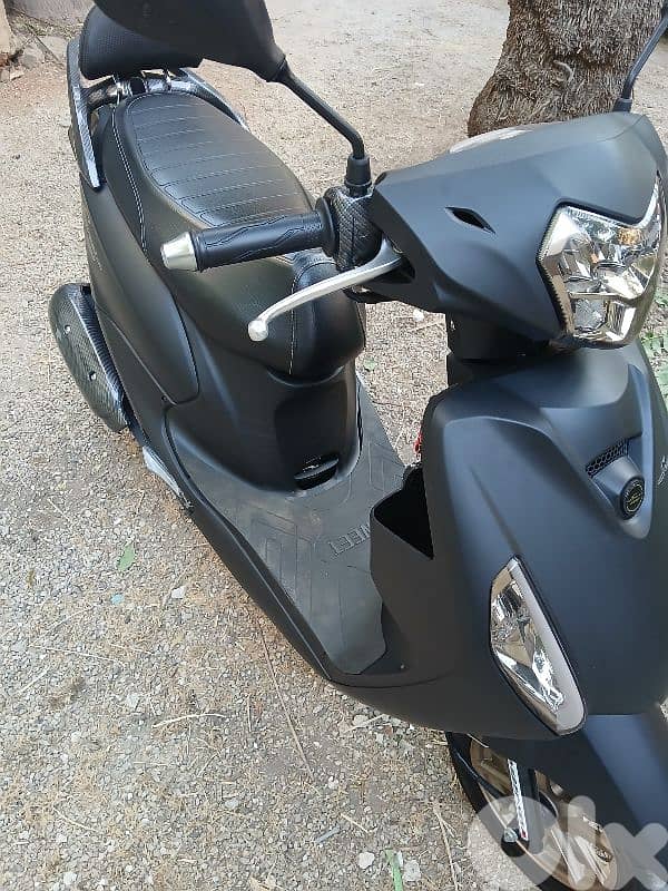 Sweet Azzo 2025 For Sale 3