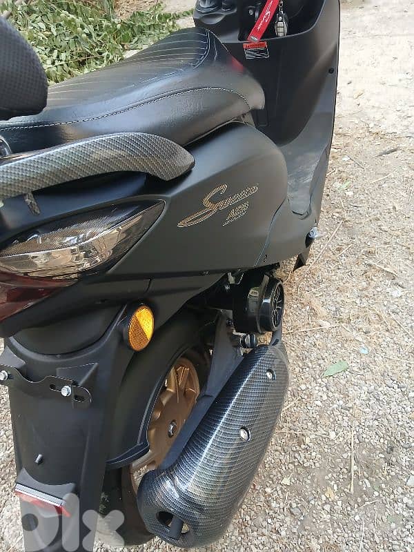 Sweet Azzo 2025 For Sale 4