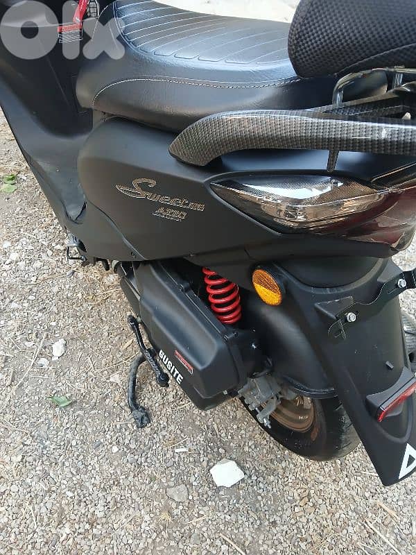 Sweet Azzo 2025 For Sale 5