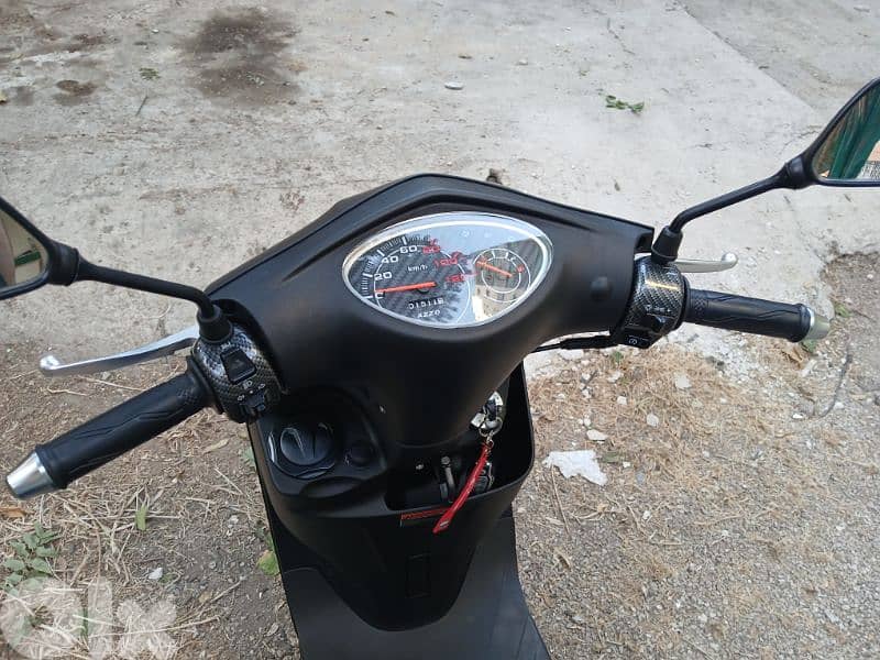 Sweet Azzo 2025 For Sale 6