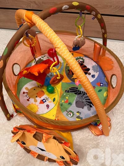 baby Gym ( Baby Einstein)