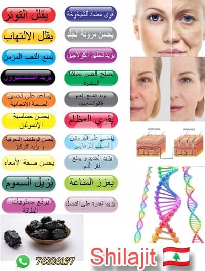 يقضي على بروتين تاو المسبب للزهايمر و يجعل القلب يبدو اصغر سنا شيلاجيت