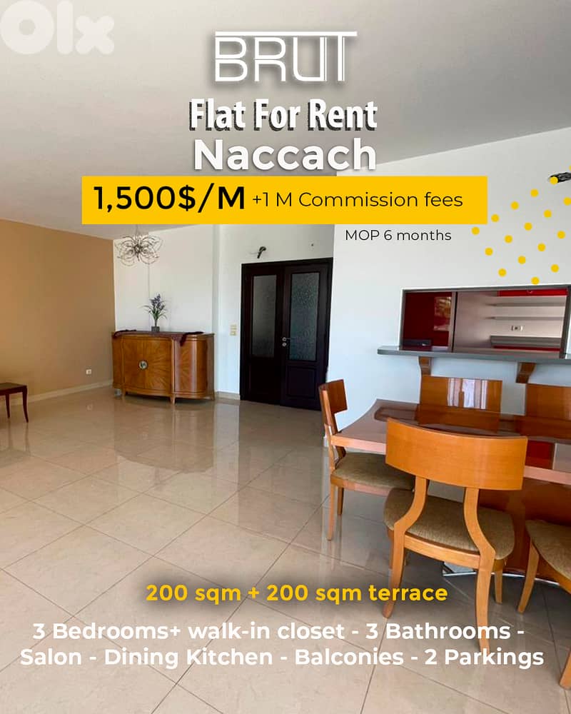 Fully furnished luxurious tapartment- 200 terrace for rent in naccach 0