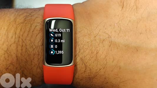 Fit Charge 6