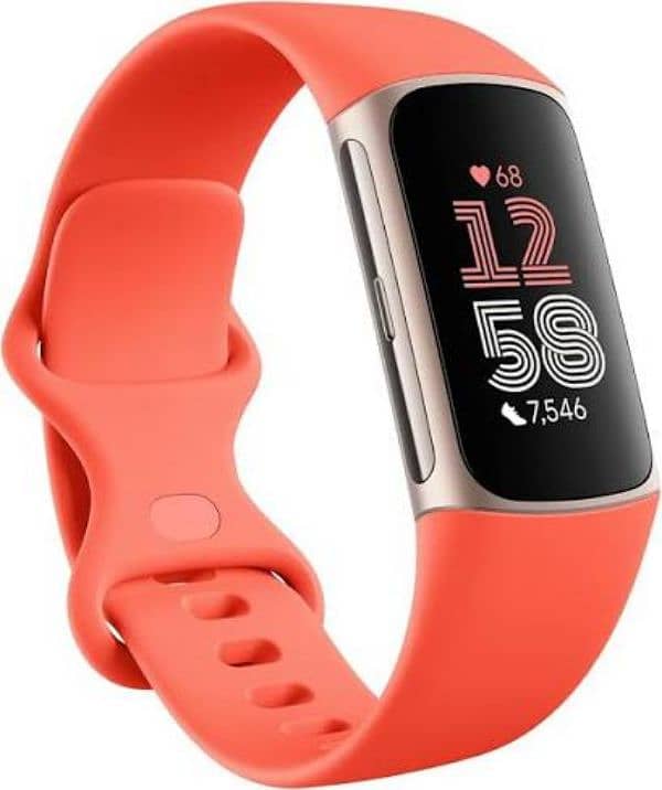 Fit Charge 6 2
