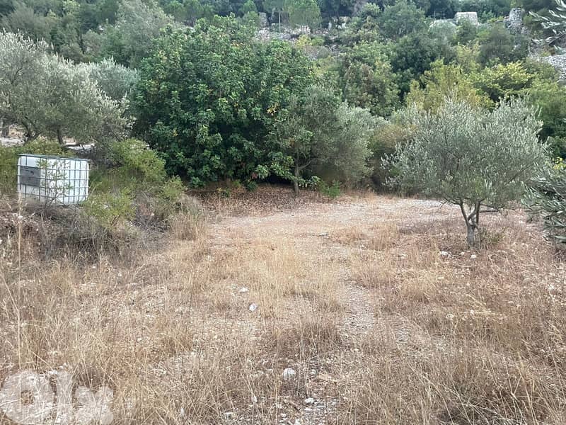 RWB179PK - Land for sale in Ghalboun Jbeil 1