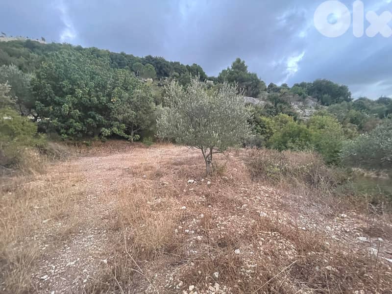 RWB179PK - Land for sale in Ghalboun Jbeil 2