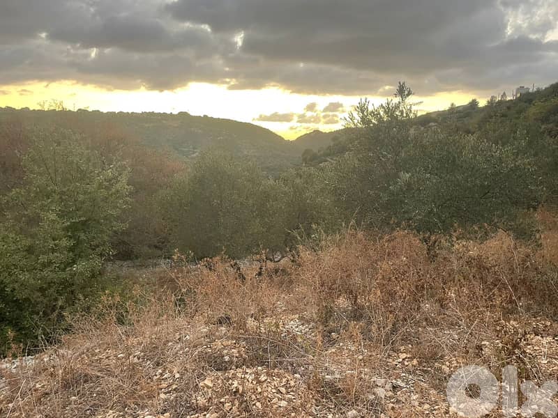 RWB179PK - Land for sale in Ghalboun Jbeil 4
