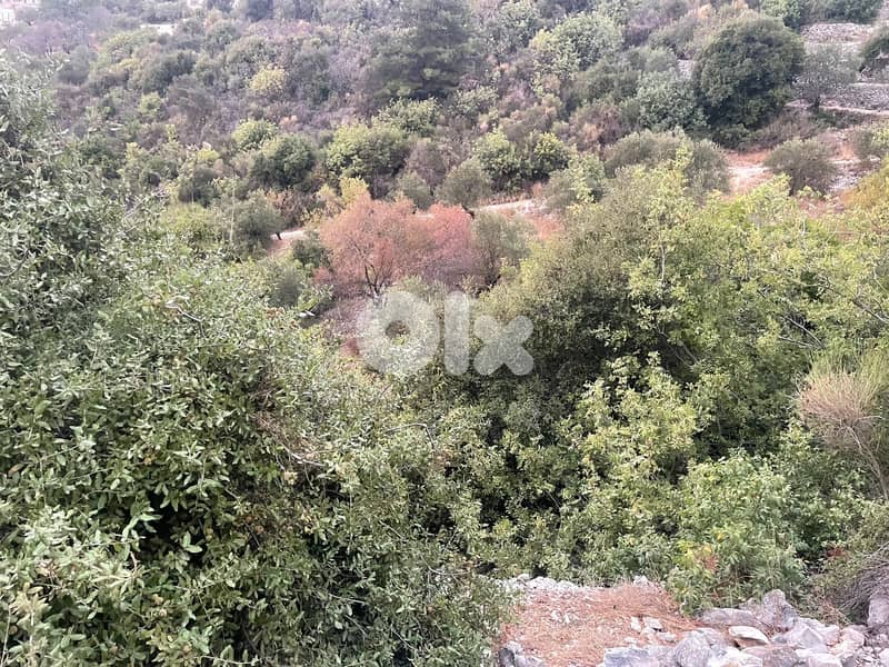 RWB179PK - Land for sale in Ghalboun Jbeil 5