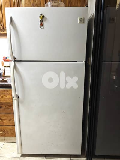 Fridge Freeze & Washer