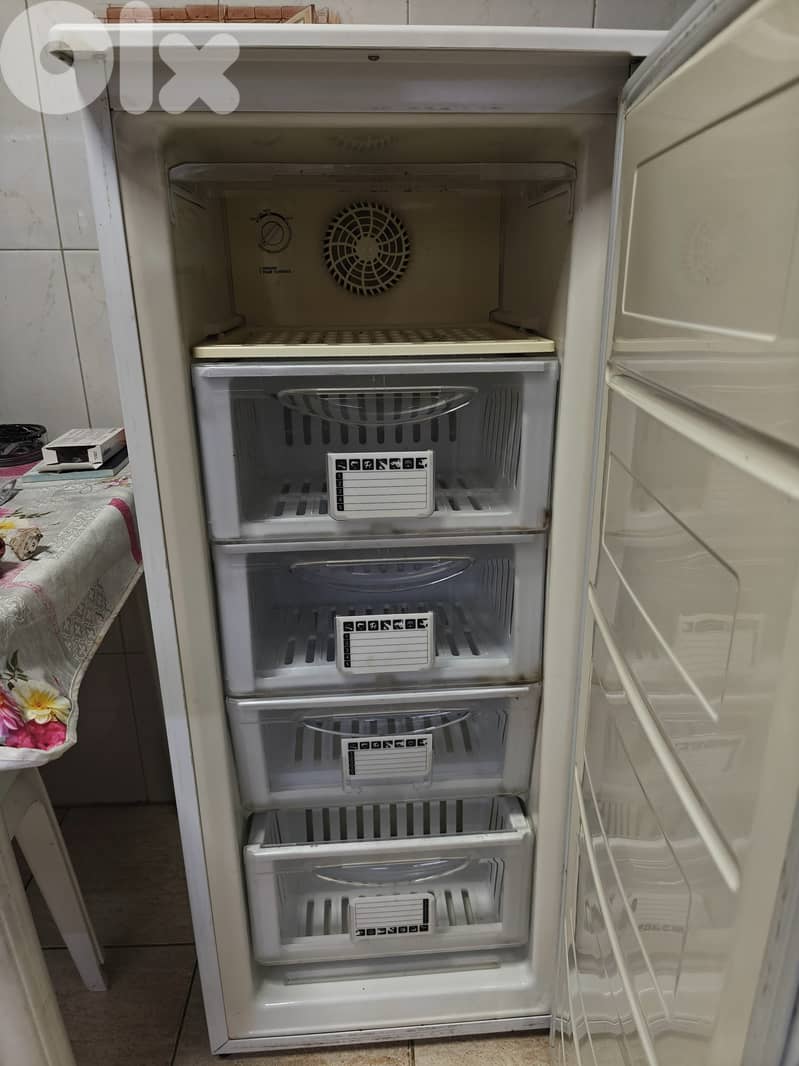 Fridge Freeze & Washer 1