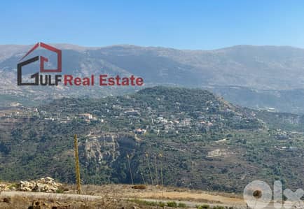 Land for Sale IN BADGHAN – Zone 30/60 ارض للبيع