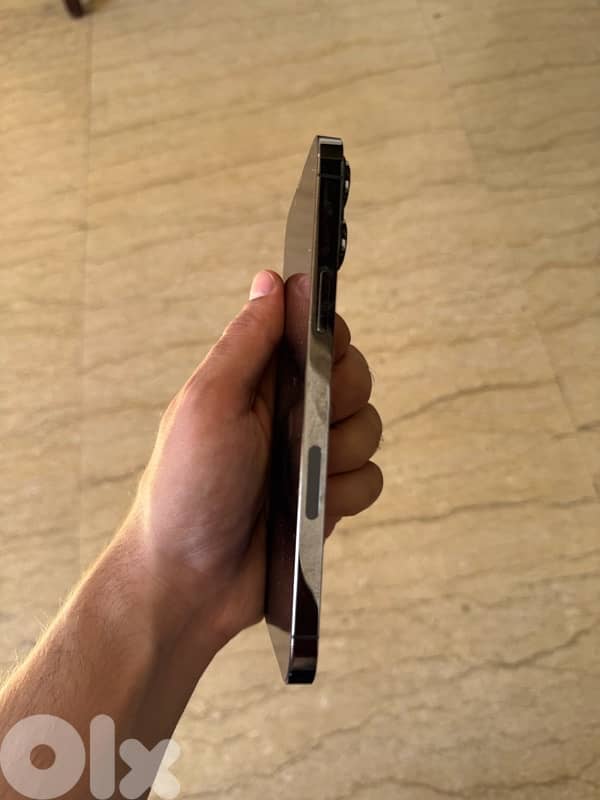 Iphone 13 pro max 1