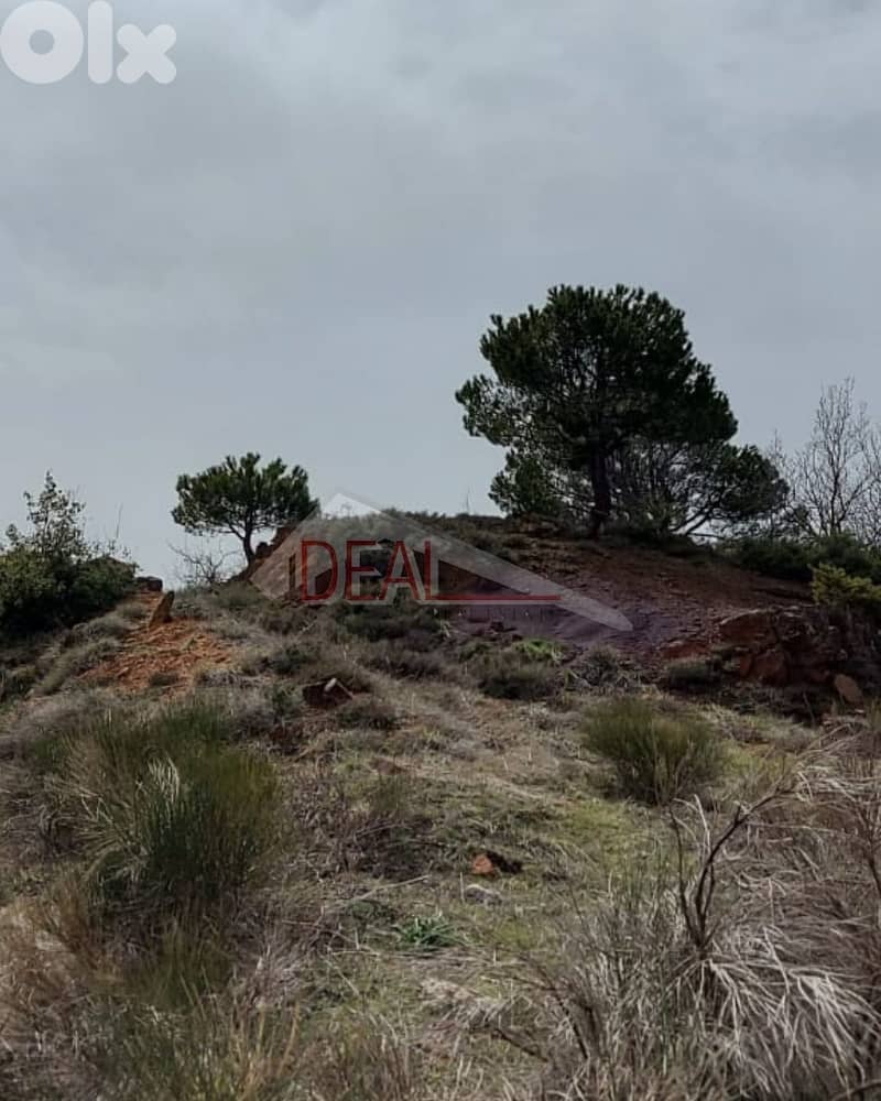 Land for sale in Kfardebian عقار للبيع في كفردبيان 1