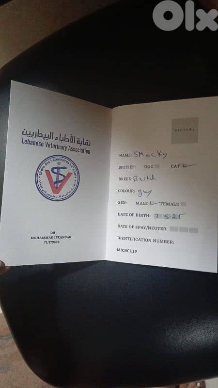برج البراجنة 3