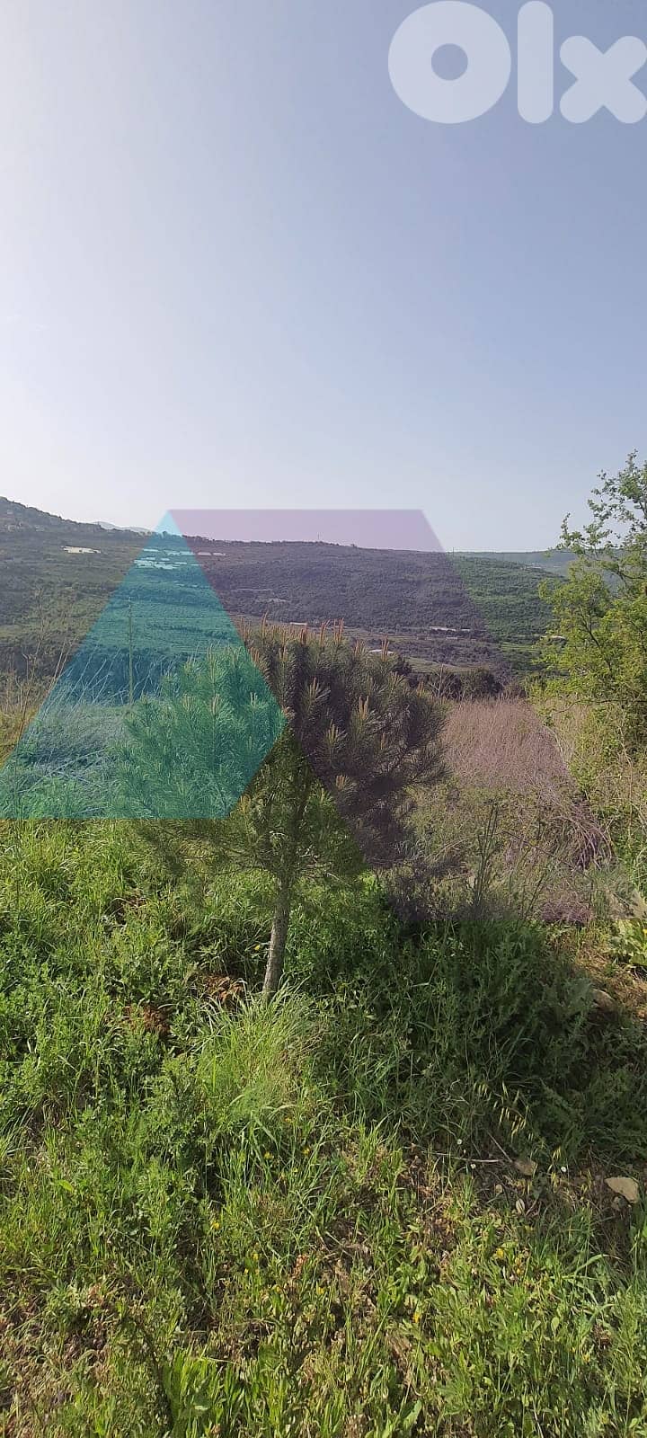 Prime Land+mountain view 4sale in Rechmaya/Aley - أرض للبيع في عاليه 1