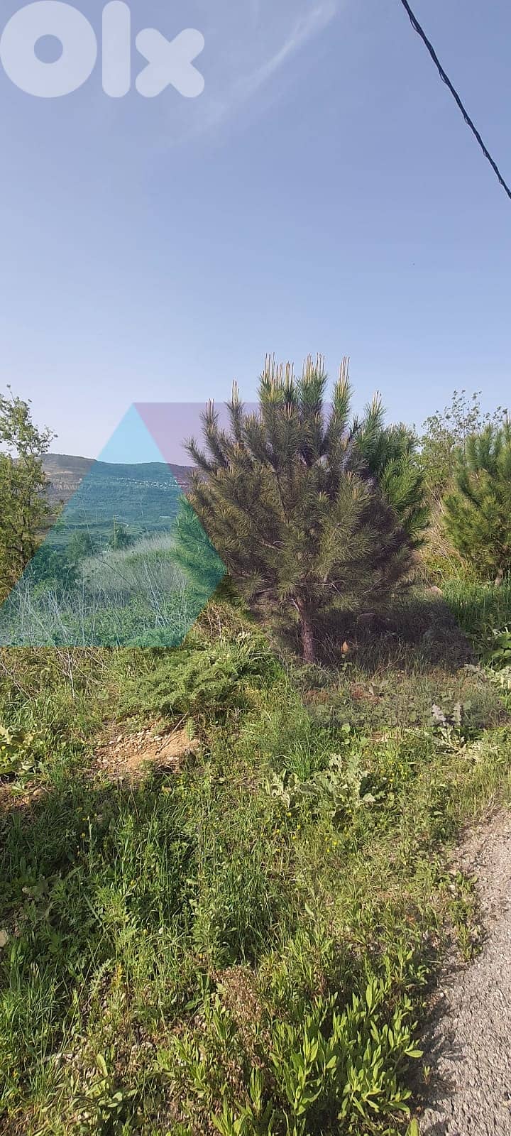 Prime Land+mountain view 4sale in Rechmaya/Aley - أرض للبيع في عاليه 4
