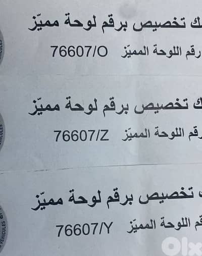 البيع ثلاث نمر بسعر ٧٦٦٠ $
