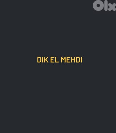 Dik El Mehdi super deluxe 150 sqm + 50 sqm Garden