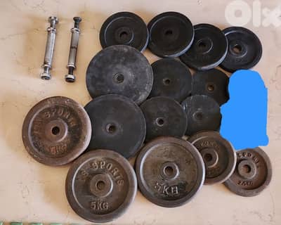 45 kg weights, plates and 2 axes dumbells, home gym equipments