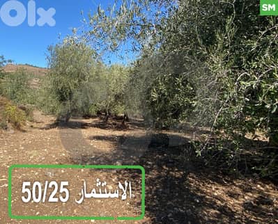 للبيع أرض في مشحا – موقع مميز وطبيعة خلابة REF#SM127327