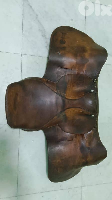 equestrianism equipment 4