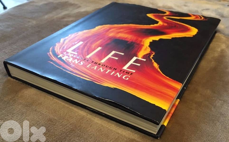 Collectable & Rare Coffee Table Books 9