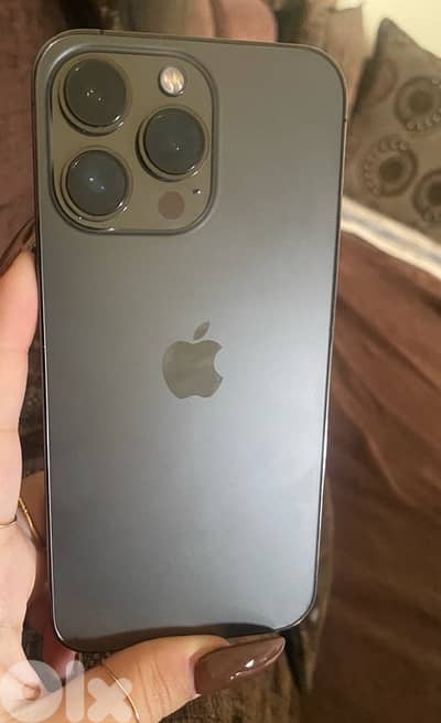 13 pro