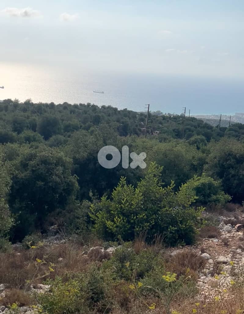 RWB170RH - Land for sale in Batroun - Aabrine 1