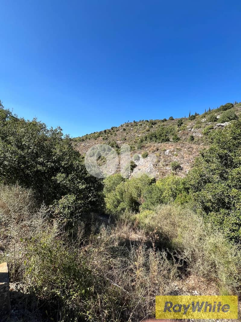 RWB171RH - Land for sale in Abdelli Batroun 1