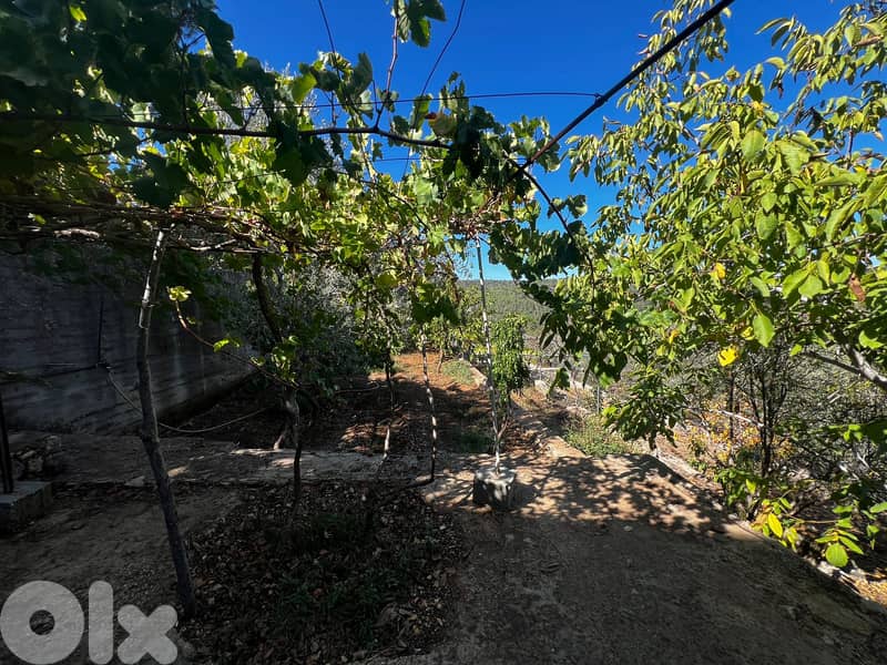L19463 - Land with Individual House & Mountain View For Sale in Bkifa 1