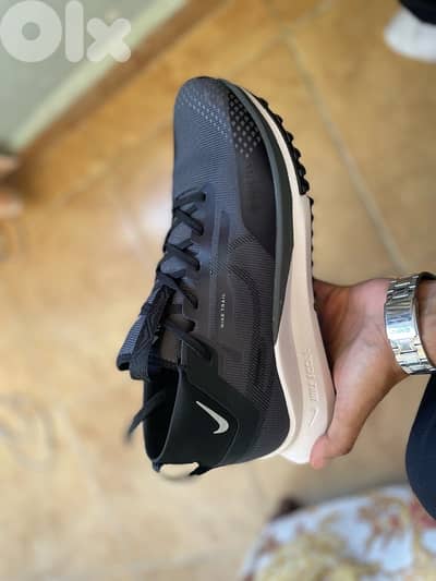 Nike pegasus Trail