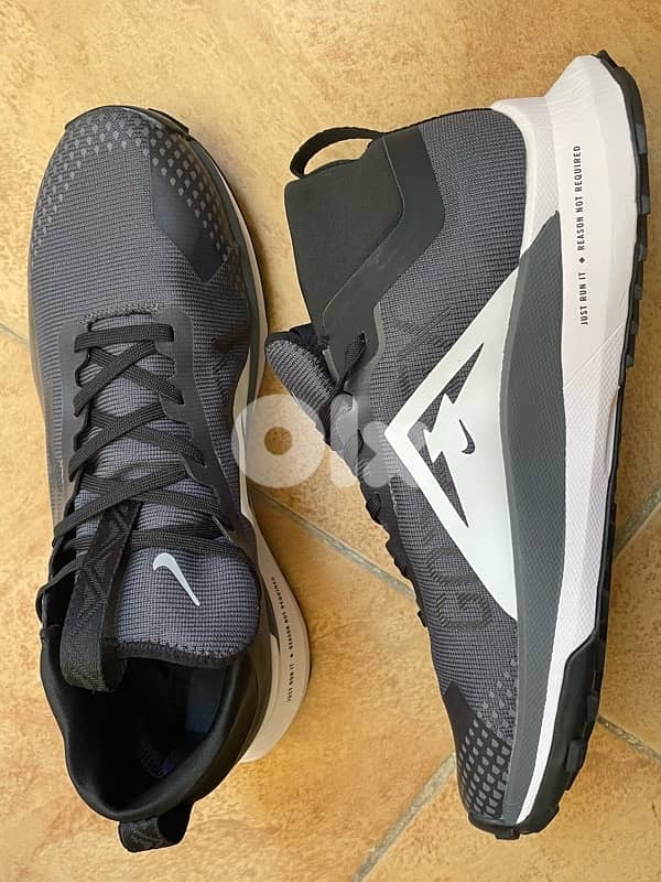 Nike pegasus Trail 1