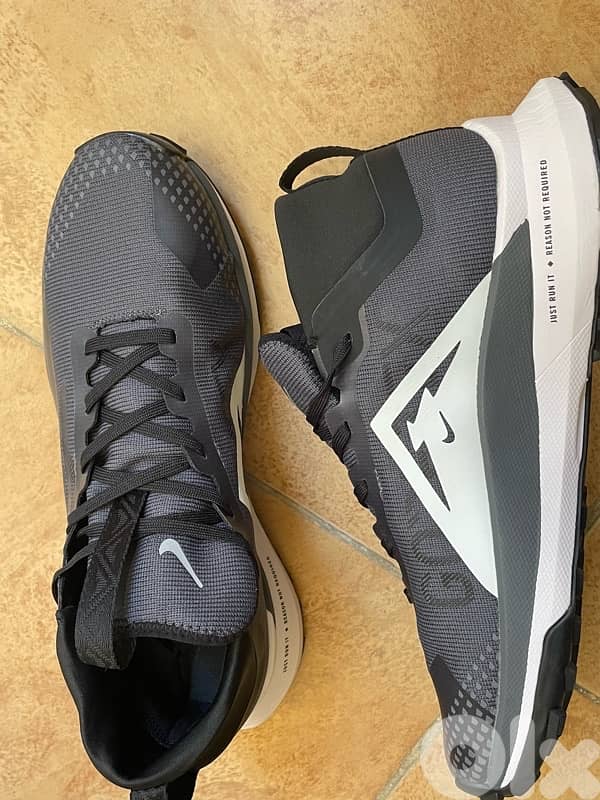 Nike pegasus Trail 2