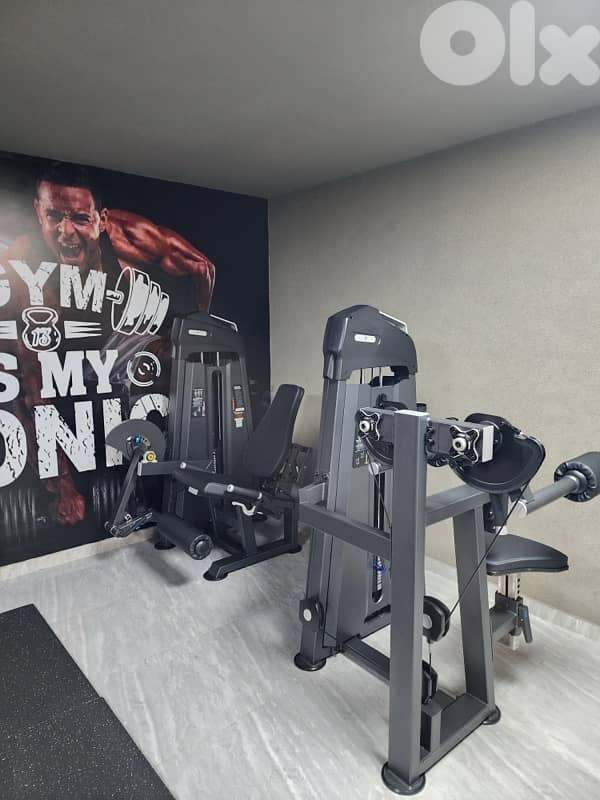 eleptical - lateral raise 3