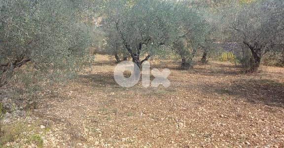 Land for sale in Jran-Batroun أرض للبيع في جران-البترون