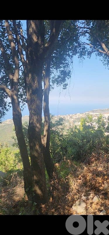 land for sale in kfour أرض للبيع في الكفور