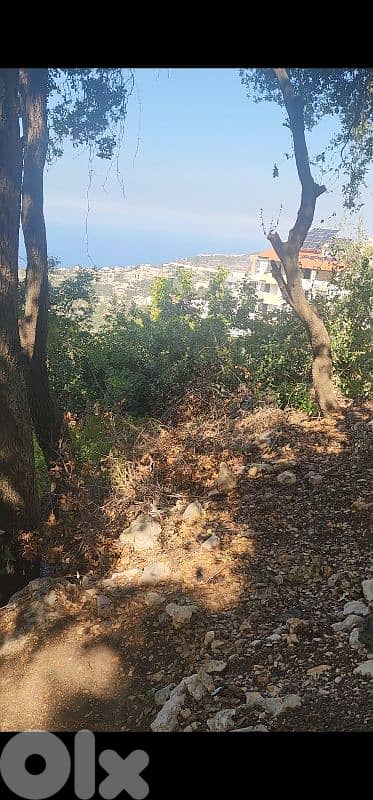 land for sale in kfour أرض للبيع في الكفور 1