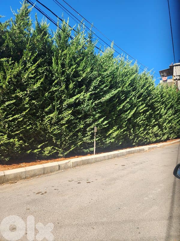 بيت قديم للبيع في العيرون الدوار 3