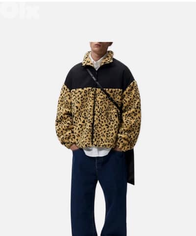 ZARA Jacket