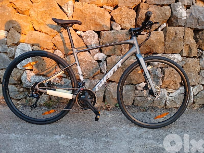 Giant FastRoad 2 1