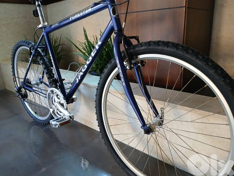 Jagger Forester 1