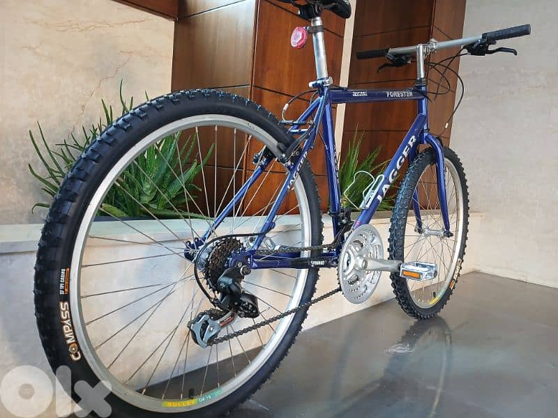 Jagger Forester 2
