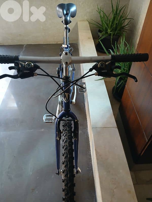 Jagger Forester 8