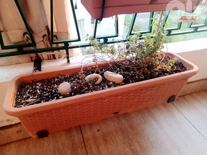 Plastic pot with holders (70*20 cm) 1