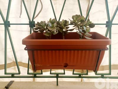 Plastic pot with holder (40*20 cm)
