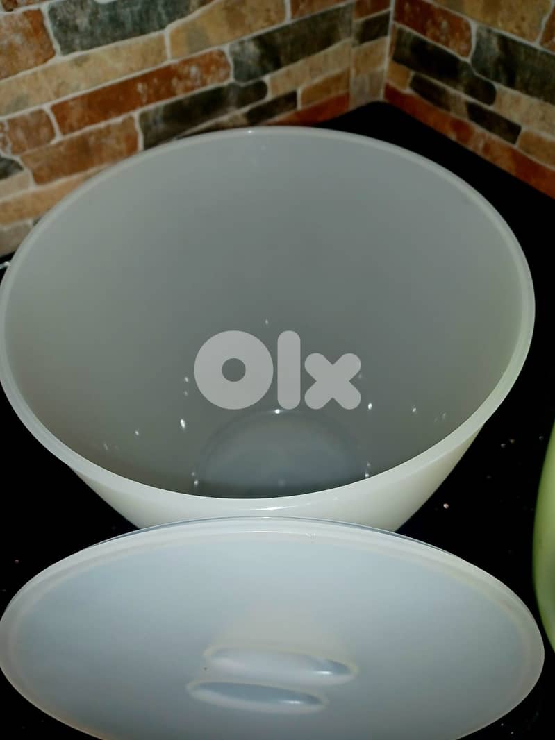 Vintage Guzzini OVO multiuse party item 1